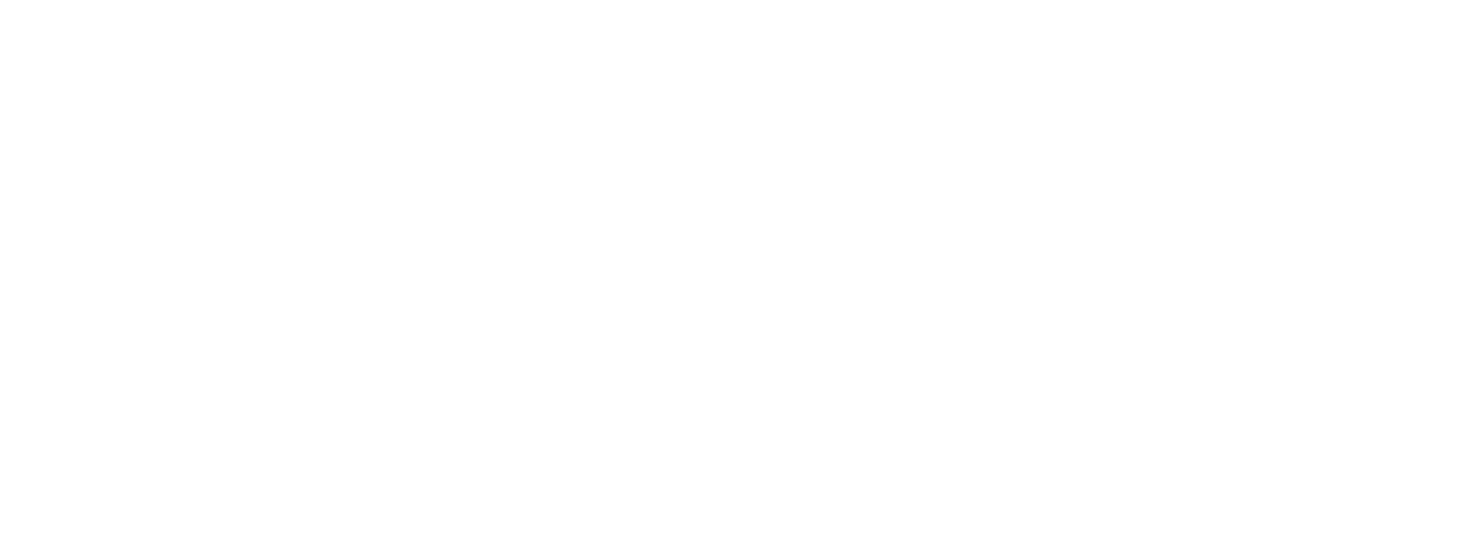 EziPier logo