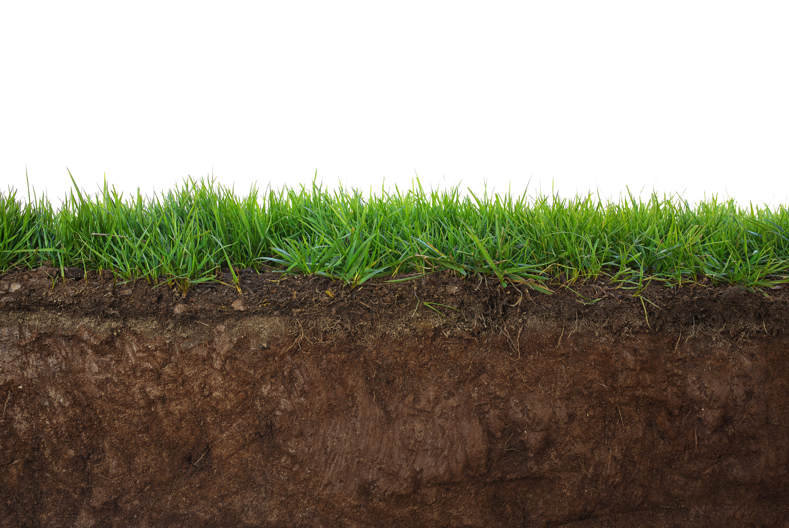 The importance of geotechnical reports and soil classification for footings